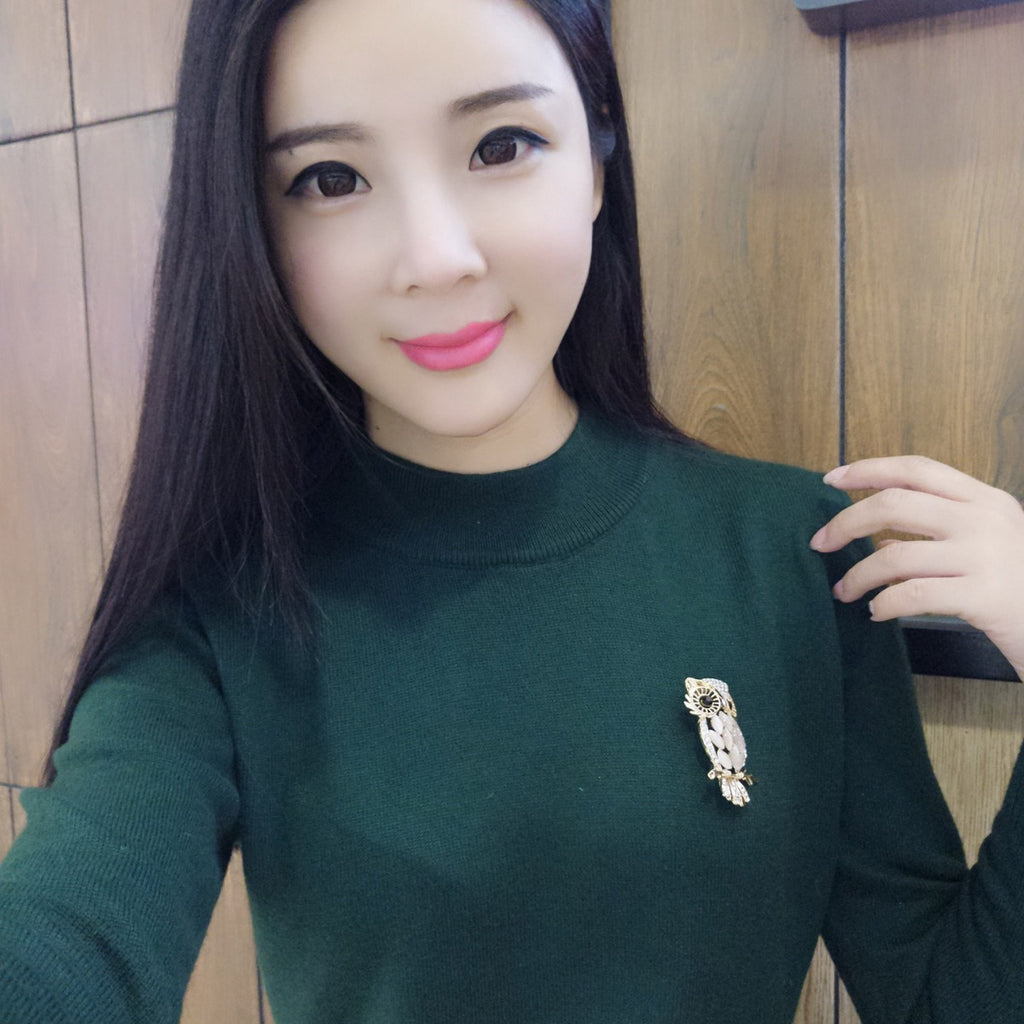 Women’s Korean Owl Brooch with Cat’s Eye Stone - Dual Gold/Silver Tone Cartoon Animal Pin for Jackets & Bags